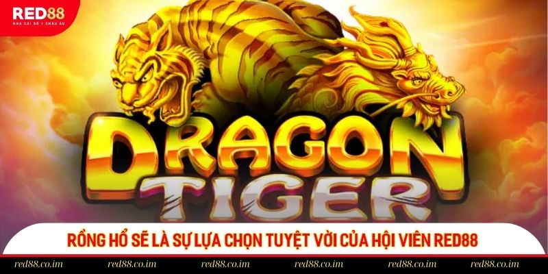 Rồng Hổ sẽ là sự lựa chọn tuyệt vời của hội viên RED88