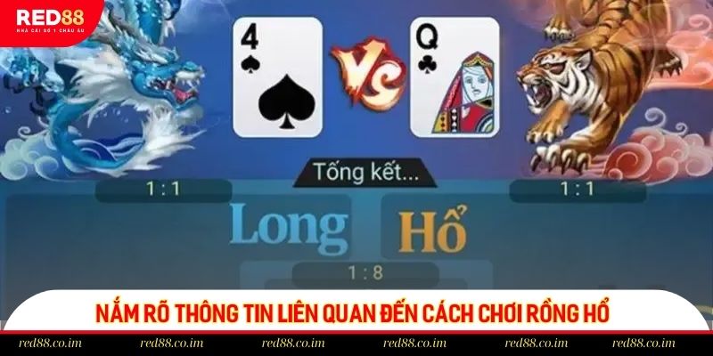 Nắm rõ thông tin liên quan đến cách chơi Rồng Hổ