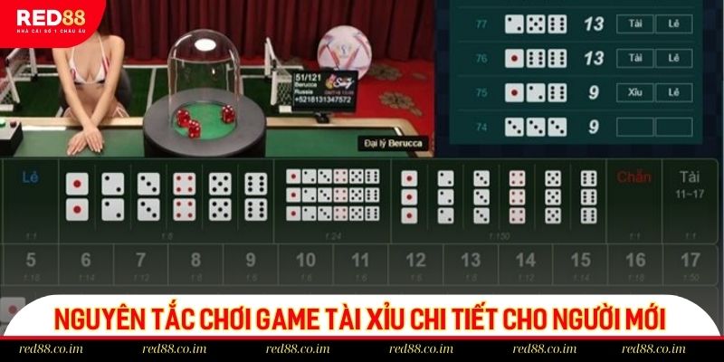 Nguyên tắc chơi game Tài xỉu chi tiết cho người mới