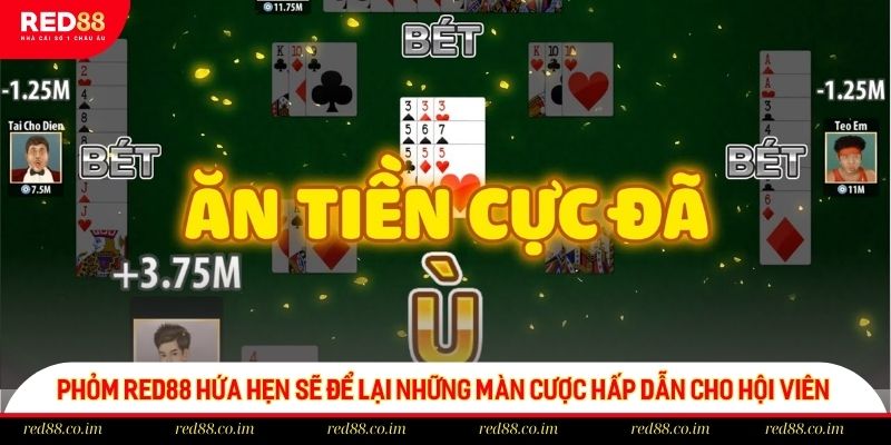 Phỏm RED88 hứa hẹn sẽ để lại những màn cược hấp dẫn cho hội viên